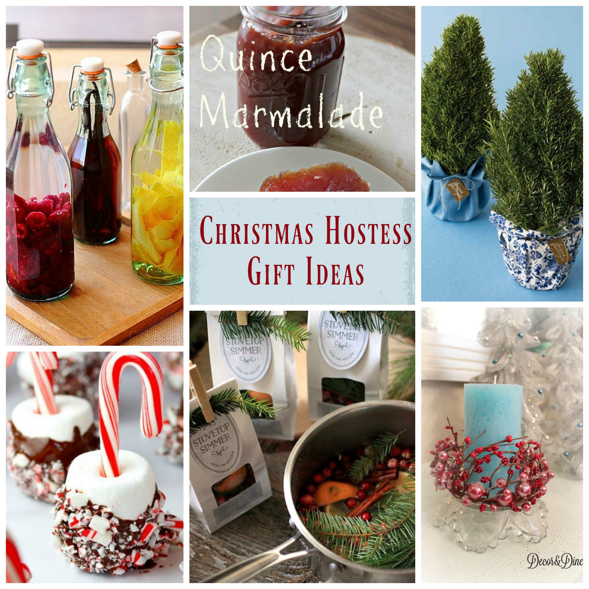 Christmas Party Host Gift Ideas
 Christmas Hostess Gift Ideas