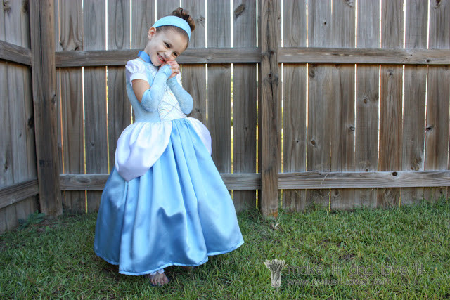 Cinderella DIY Costume
 25 DIY Halloween Costumes For Little Girls