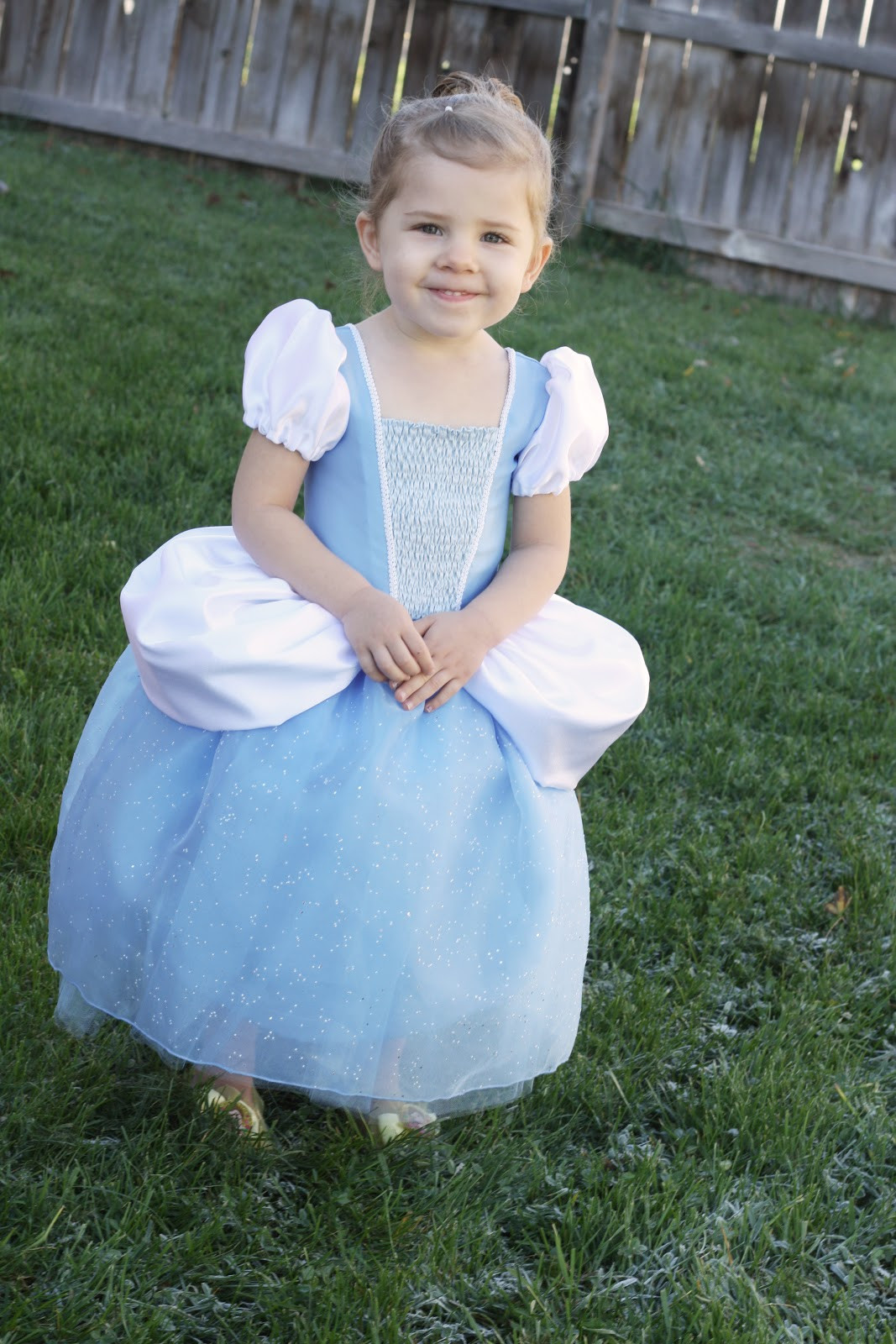 Cinderella DIY Costume
 Cinderella and Belle Princess Dress Costume Pattern and