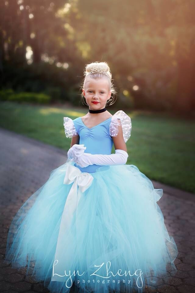Cinderella DIY Costume
 Cinderella costume