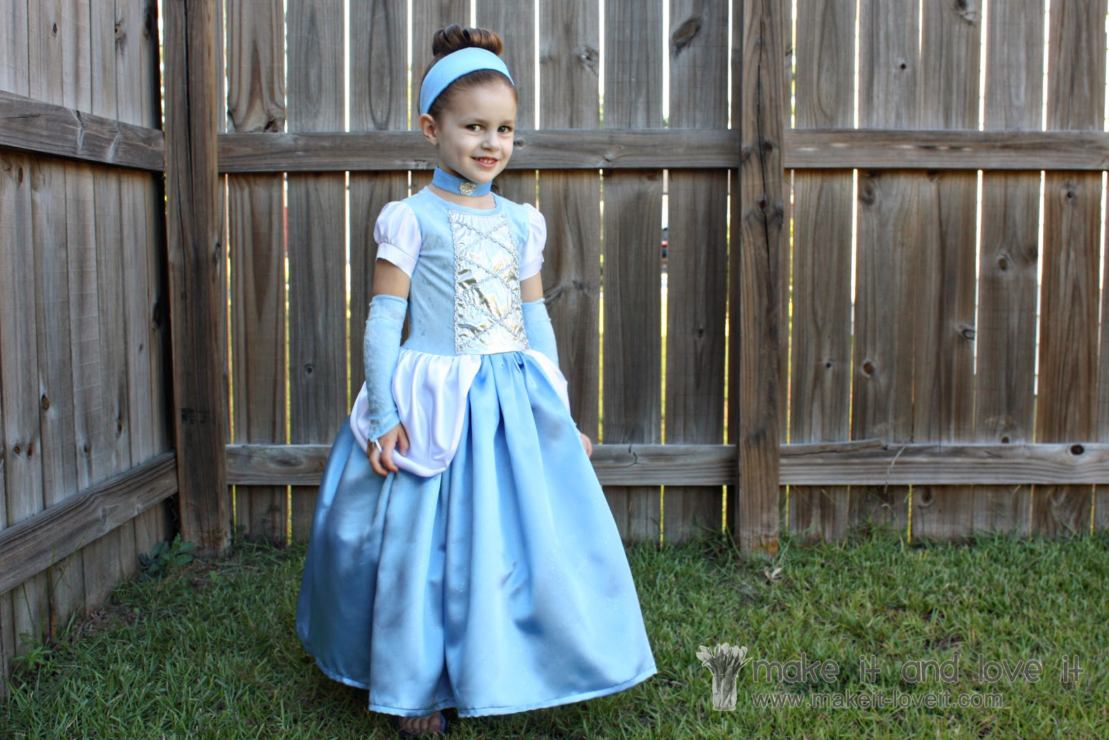 Cinderella DIY Costume
 Cinderella Dress Halloween Costume