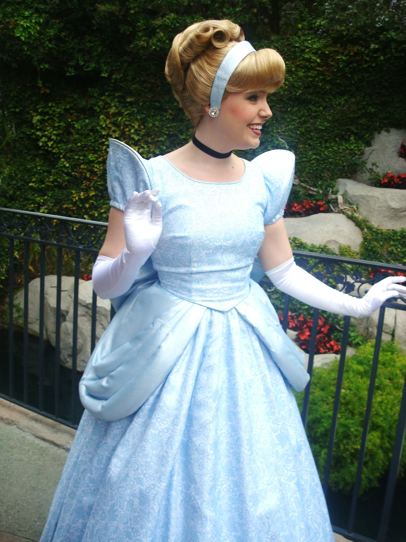 Cinderella DIY Costume
 Disney Cinderella Halloween Costumes