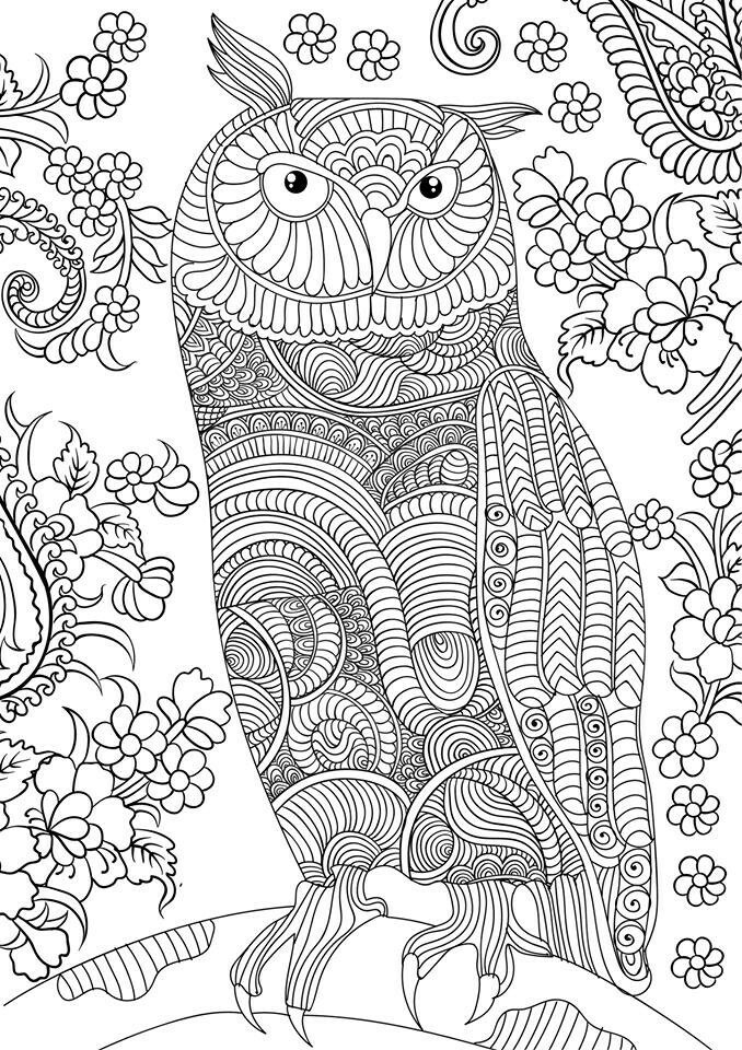 Coloring Sheets For Adults Printable
 OWL Coloring Pages for Adults Free Detailed Owl Coloring