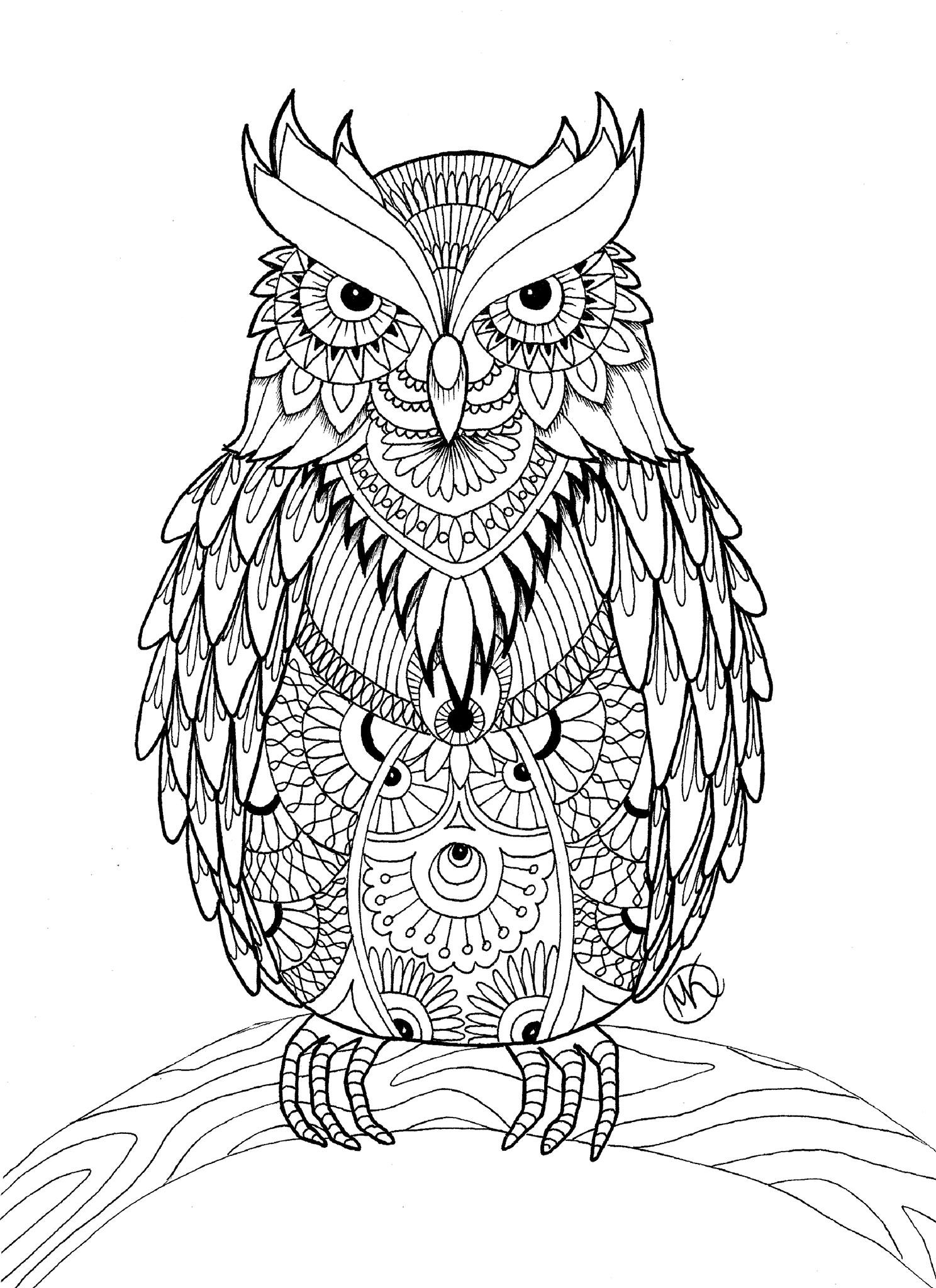 Coloring Sheets For Adults Printable
 OWL Coloring Pages for Adults Free Detailed Owl Coloring