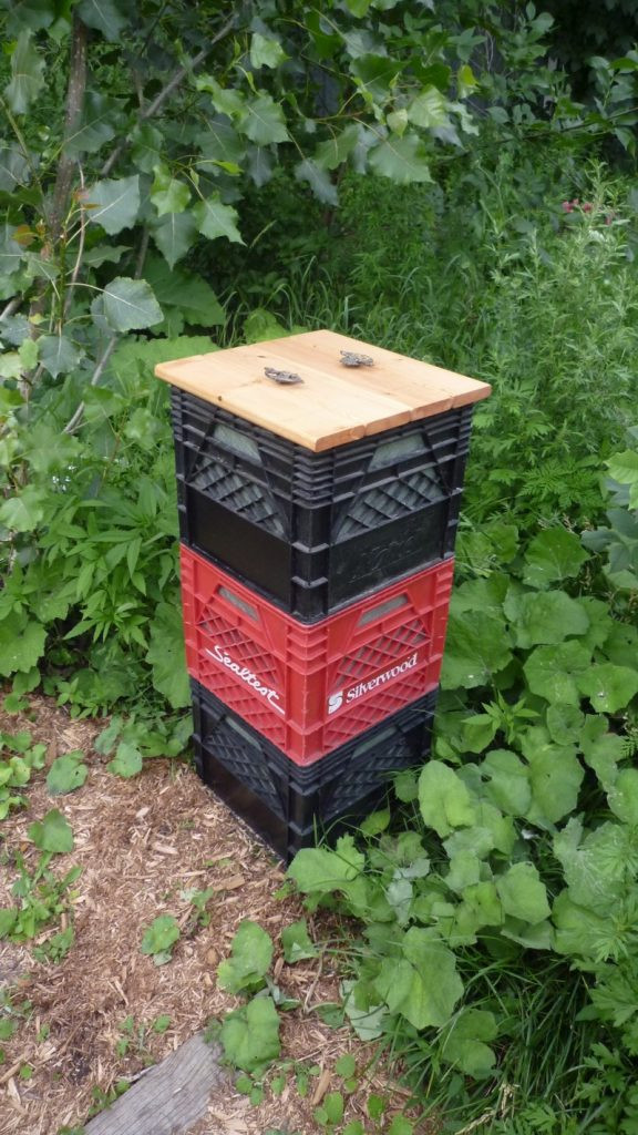 Compost Box DIY
 DIY post Bin Ideas