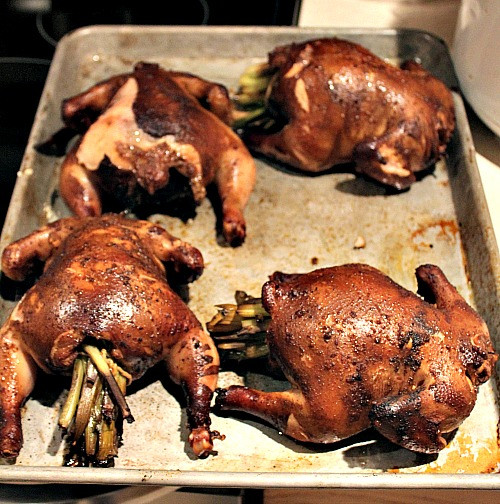 Cornish Game Hens Brine Recipe
 Smoked Cornish Game Hens With Brine And Dry Rub Recipe