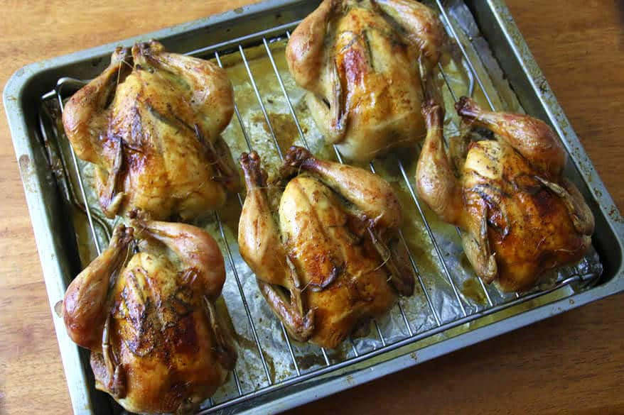 Cornish Game Hens Recipe
 Roasted Cornish Game Hens with Garlic Herbs and Lemon