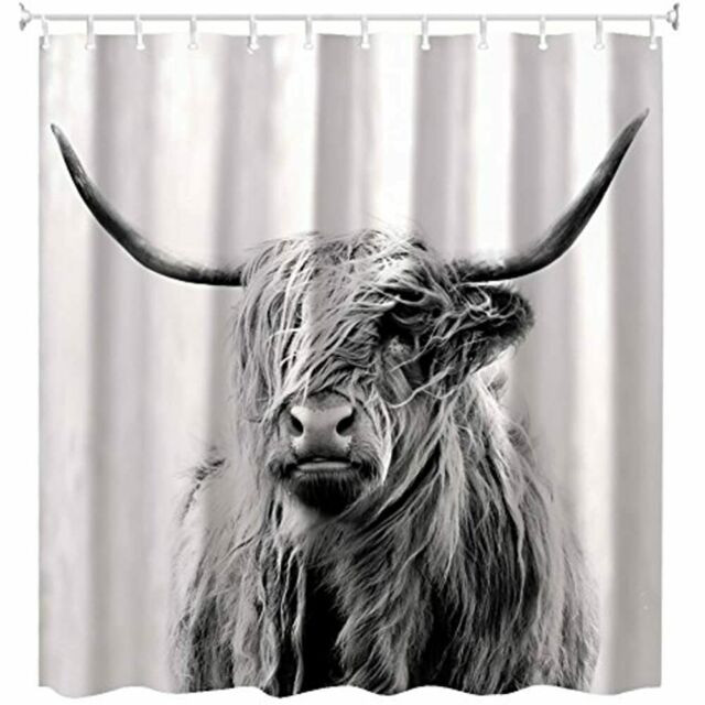 Cow Kitchen Curtains
 Shower Curtain Portrait Highland Cow 60 X 72inch Home