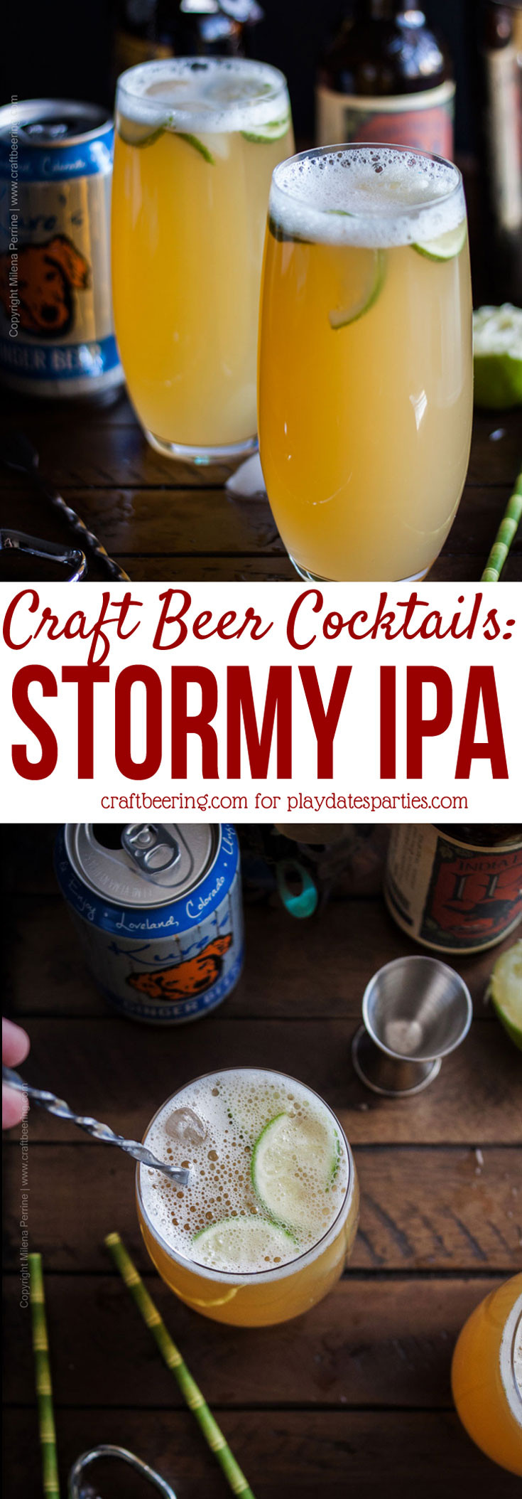 Craft Beer Cocktails
 Stormy IPA Cocktail Recipe