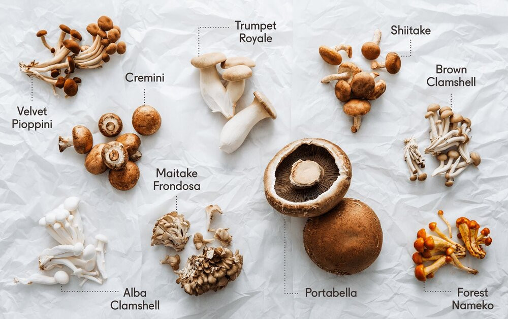 Cremini Vs Baby Bella
 Botanica Organic Mushroom – Just another WordPress site