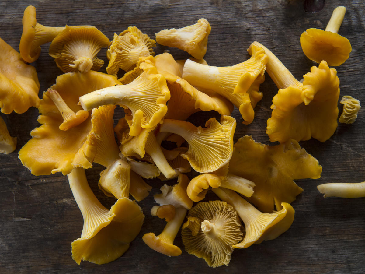 Cremini Vs Baby Bella
 The 13 Most mon Types of Mushrooms—and What to Do with