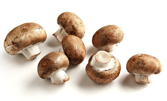 Cremini Vs Baby Bella
 Mushrooms—A Guide to Wild and Cultivated Varieties