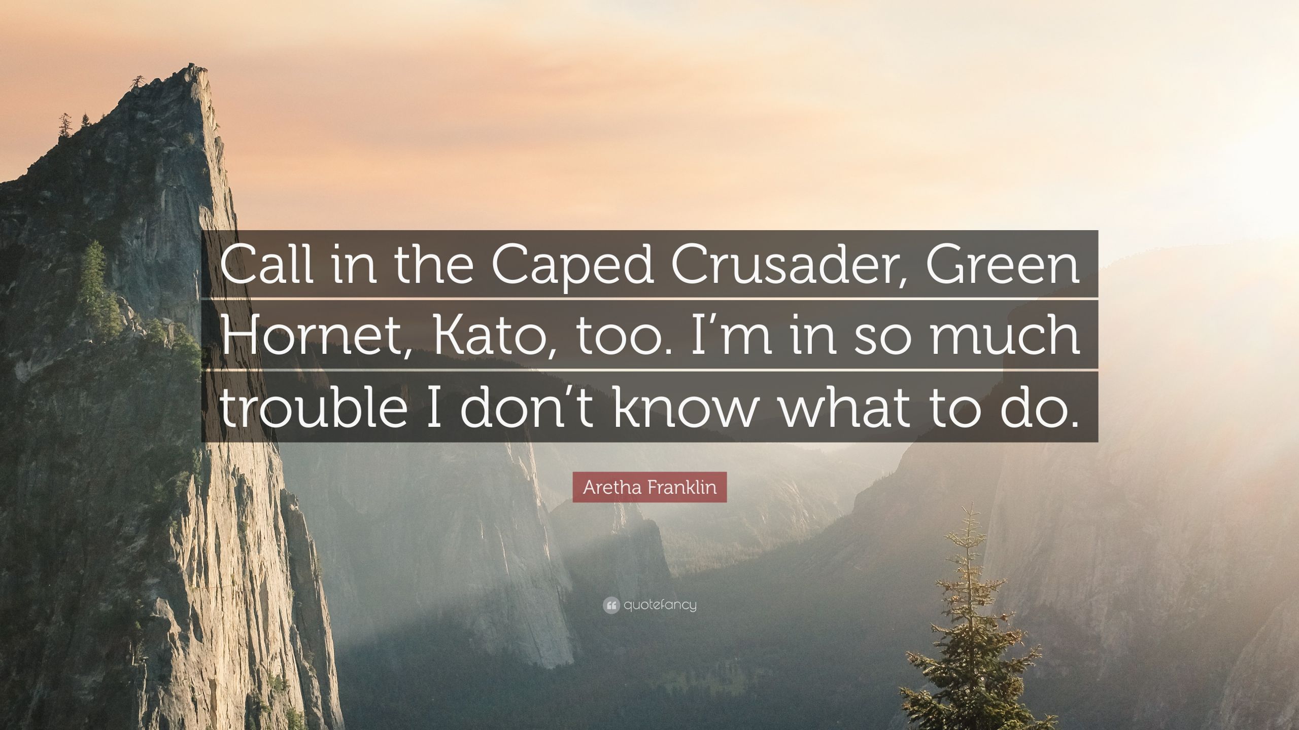 Crusader Quotes
 Aretha Franklin Quote “Call in the Caped Crusader Green