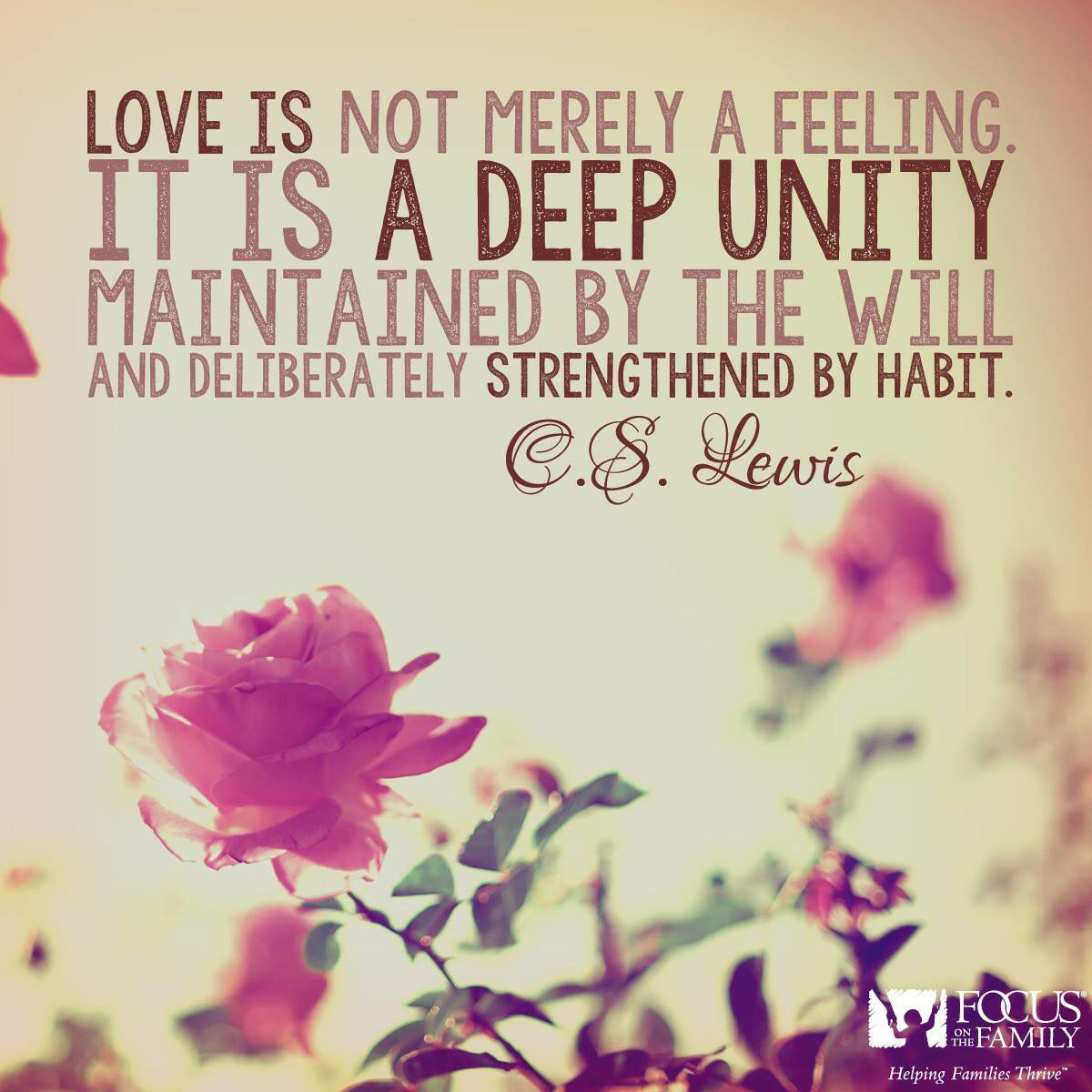 Cs Lewis Quotes On Marriage
 CS Lewis