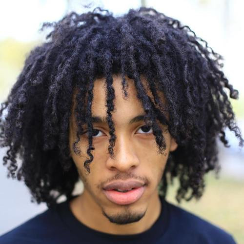 Curly Black Mens Hairstyles
 40 Stirring Curly Hairstyles for Black Men