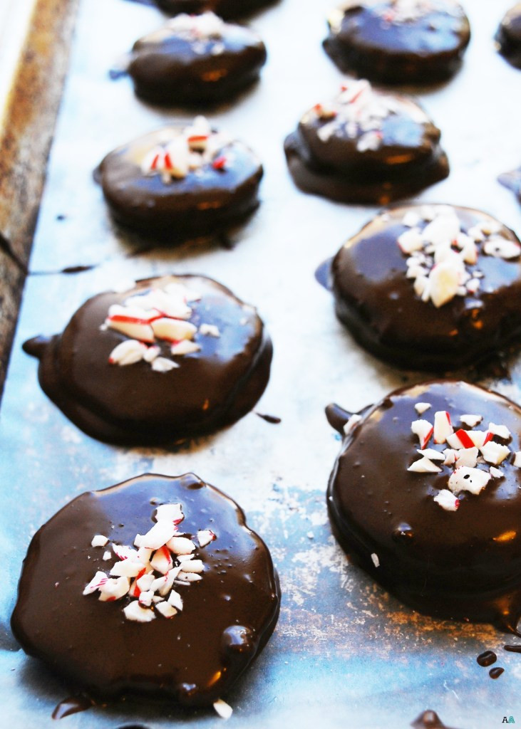 Dairy And Nut Free Desserts
 Dairy Free Peppermint Patties Gluten dairy egg soy