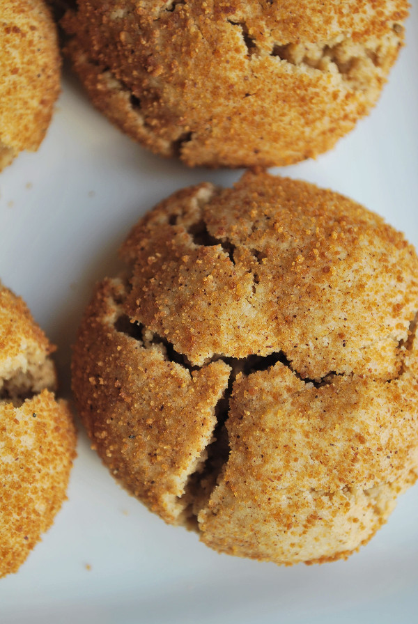 Dairy Free Snickerdoodles
 Healthy Gluten Free Vegan Snickerdoodles Fooduzzi