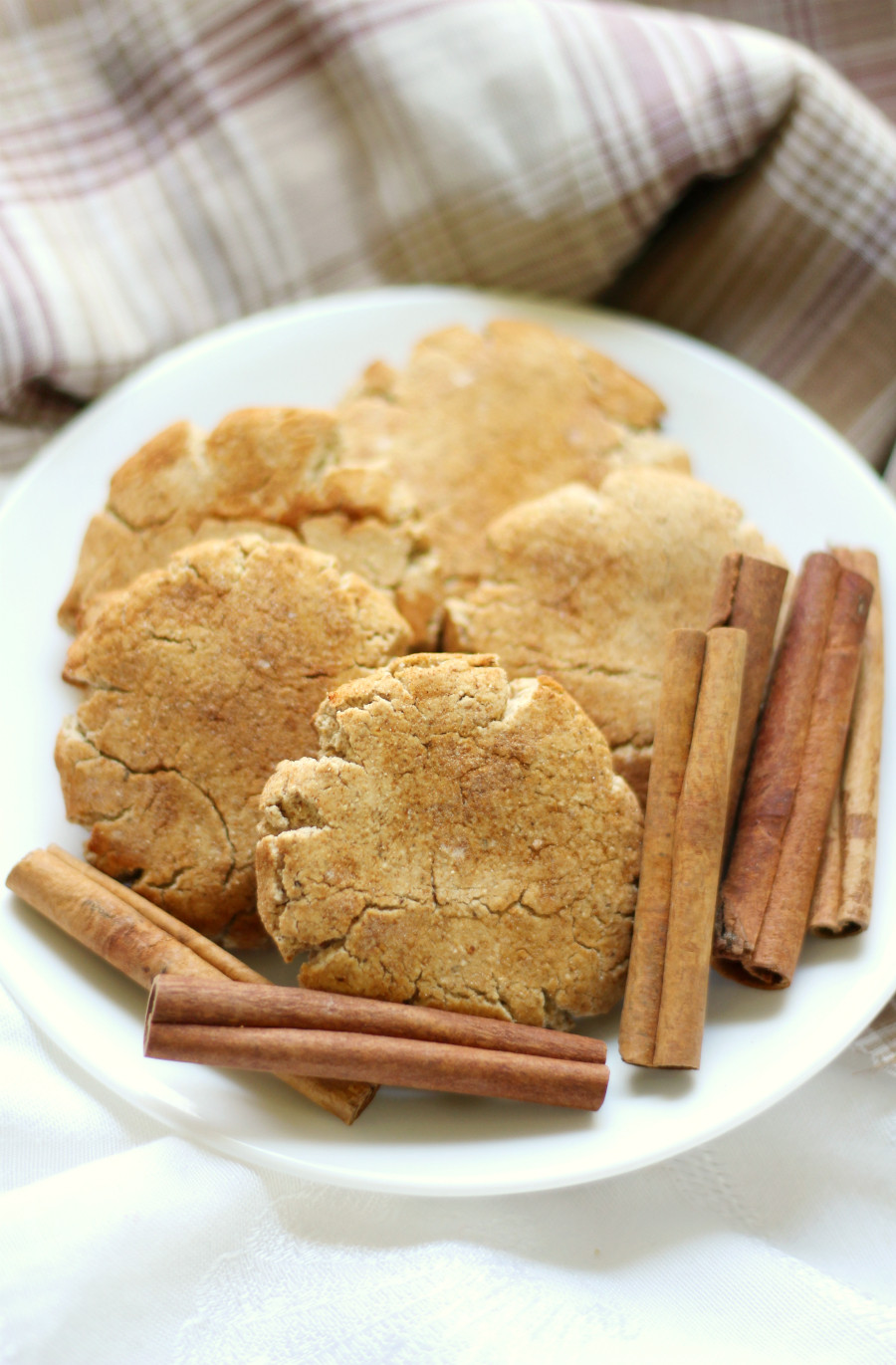 Dairy Free Snickerdoodles
 Gluten Free Snickerdoodles