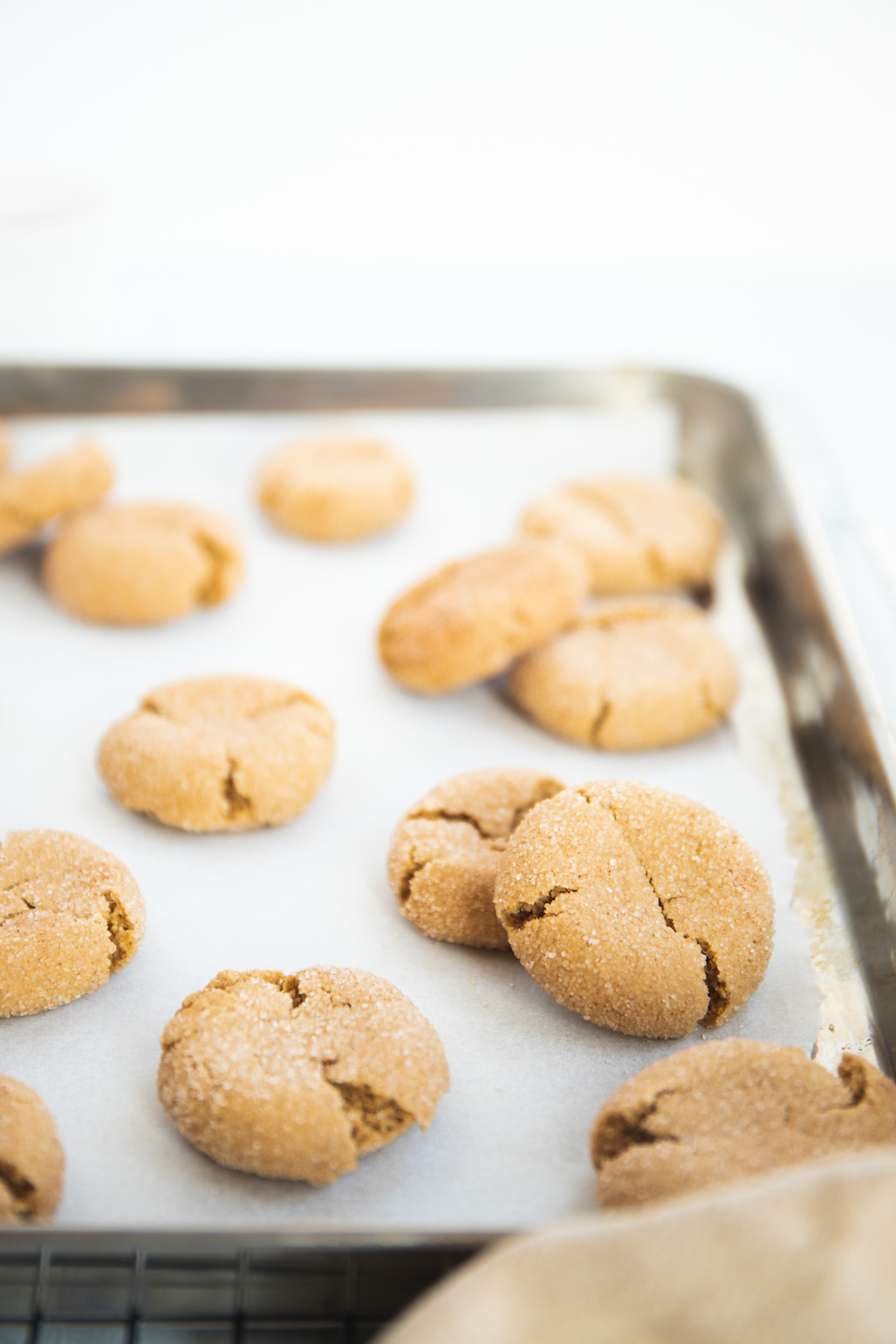 Dairy Free Snickerdoodles
 Gluten Free Snickerdoodles Spoonful of Kindness