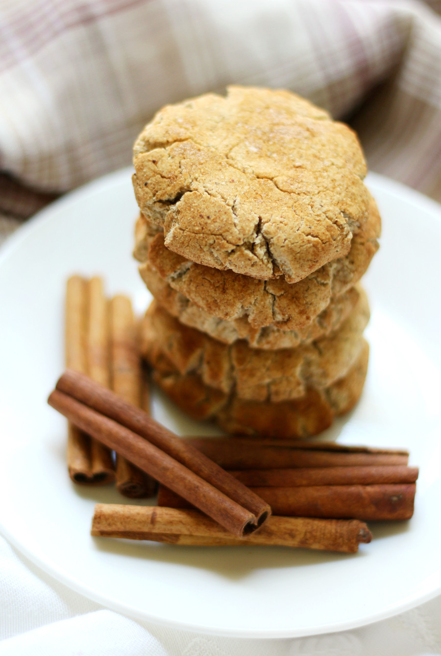 Dairy Free Snickerdoodles
 Gluten Free Snickerdoodles