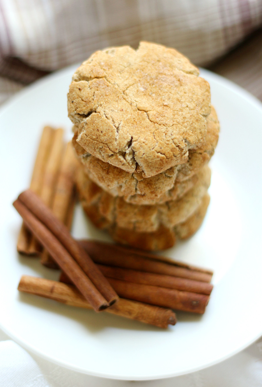 Dairy Free Snickerdoodles
 Gluten Free Snickerdoodles