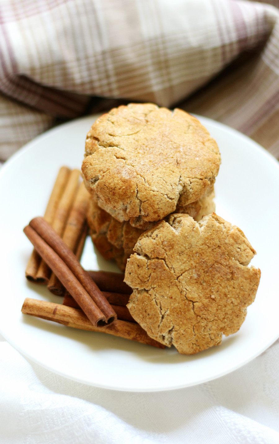 Dairy Free Snickerdoodles
 Gluten Free Snickerdoodles