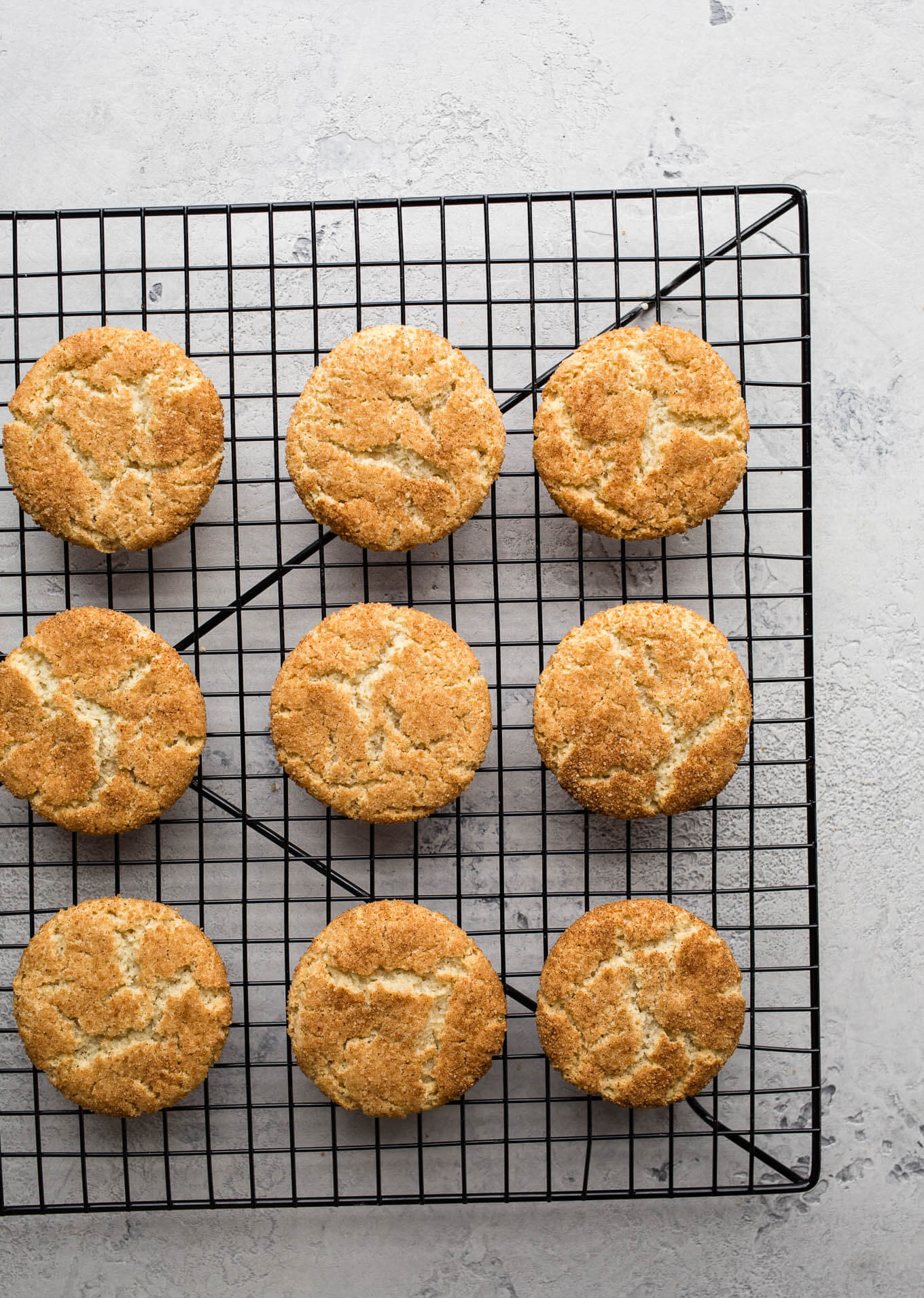 Dairy Free Snickerdoodles
 Gluten Free Snickerdoodles – Salted Plains