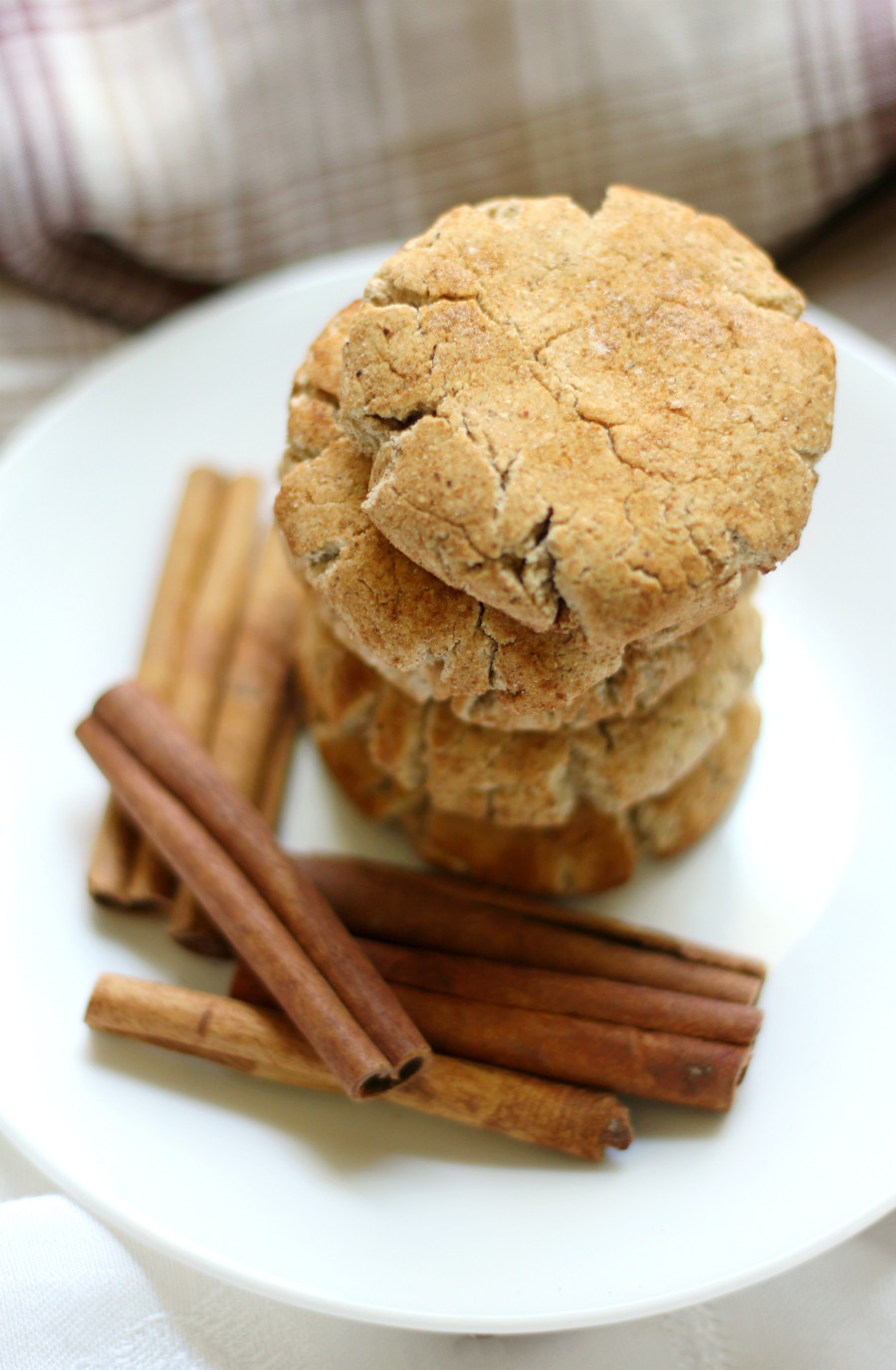 Dairy Free Snickerdoodles
 Gluten Free Snickerdoodles