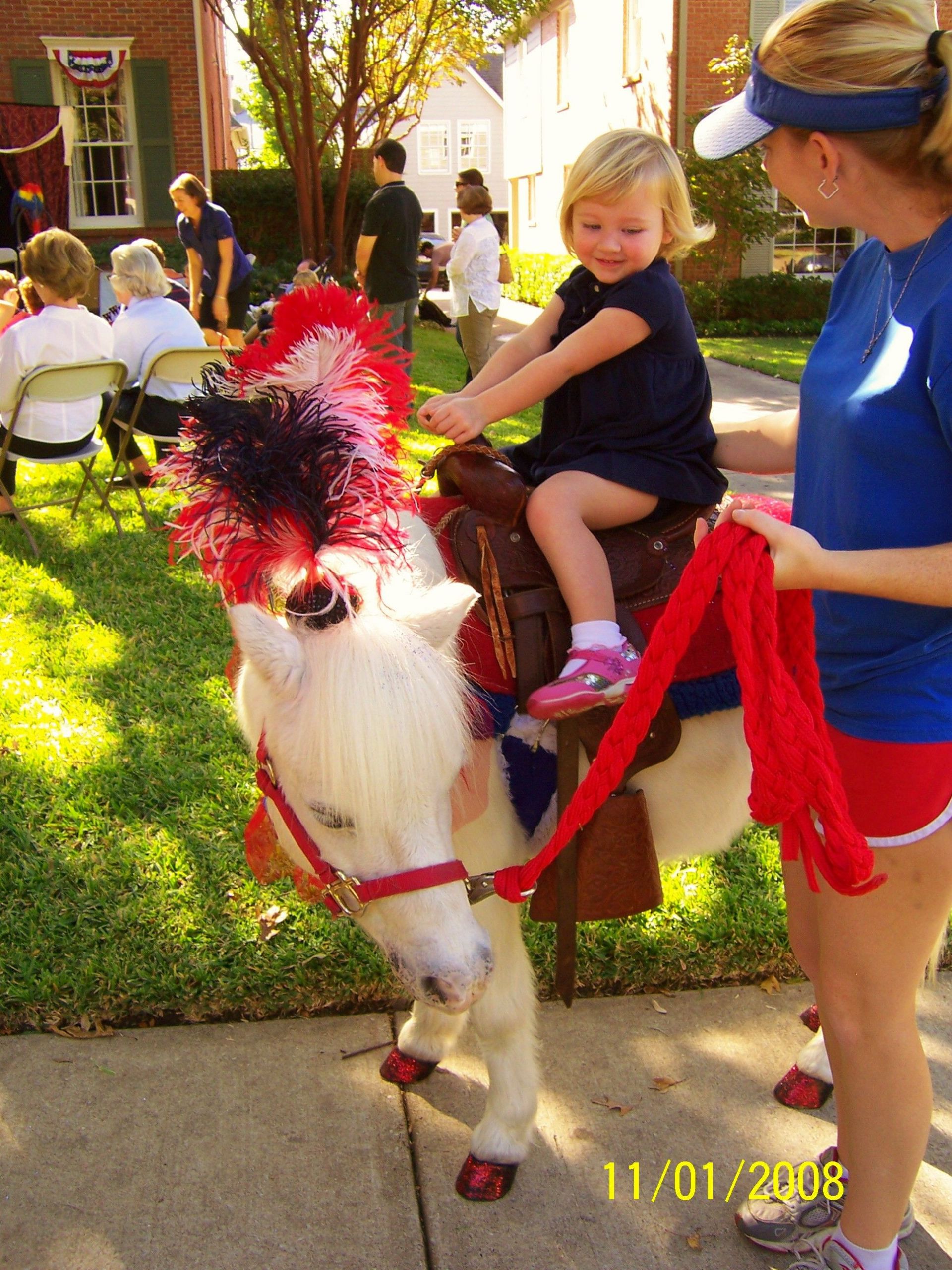 Dallas Zoo Birthday Party
 PONY RIDES Dallas PETTING ZOO Pony PARTY Dallas TX