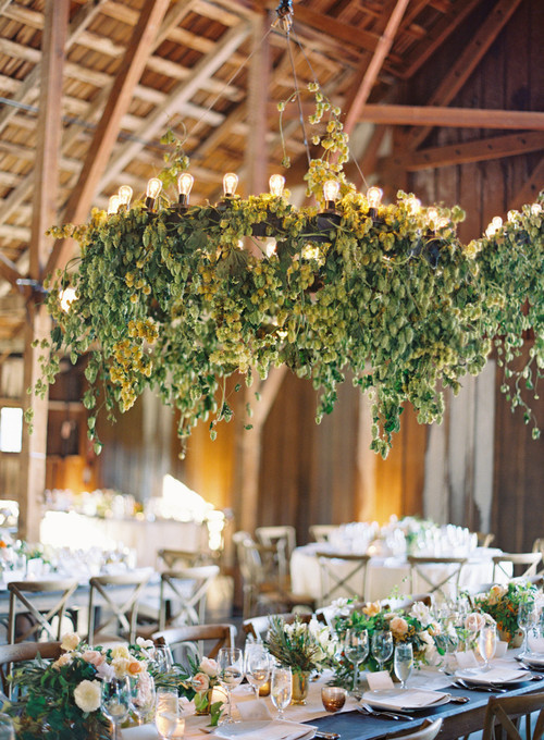 Decorate My Wedding
 Using Ivy to decorate my wedding HELP