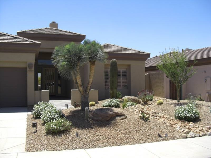 Desert Landscape Front Yard
 Desert Landscaping Ideas