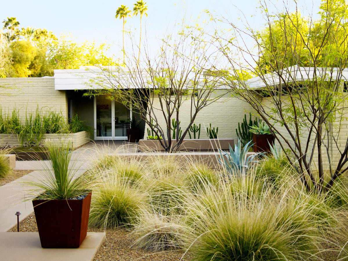 Desert Landscape Front Yard
 4 Essential Desert Landscaping Ideas Sunset Magazine