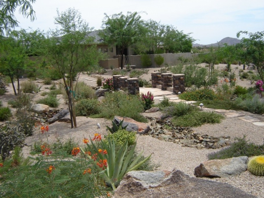 Desert Landscape Front Yard
 Desert Landscaping Ideas to Make Your Backyard Look