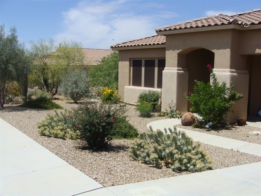 Desert Landscape Front Yards
 Colorful Desert Courtyard Landscaping Network