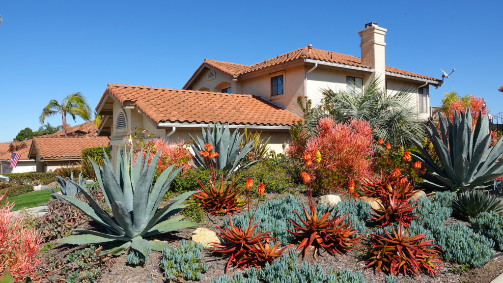 22 Terrific Desert Landscape Front Yards - Home, Family, Style and Art