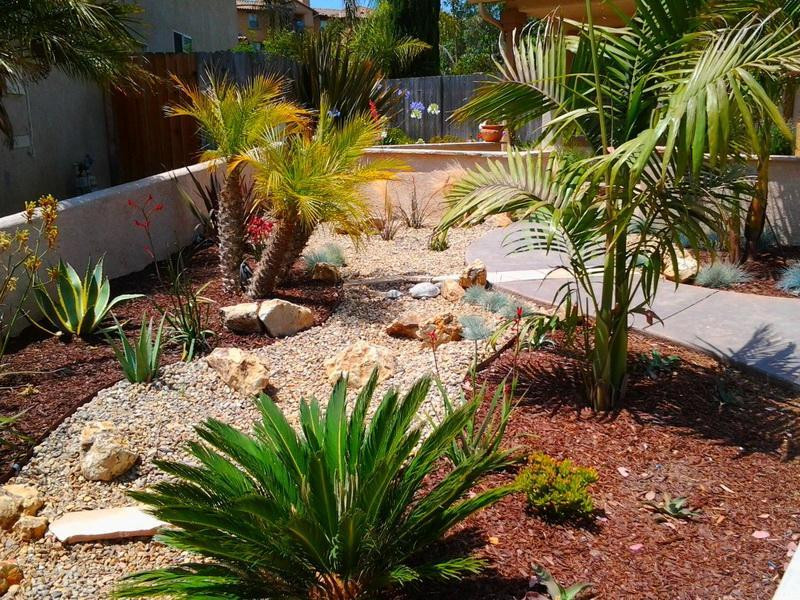 Desert Landscape Ideas For Backyards
 Desert Landscaping Ideas to Make Your Backyard Look