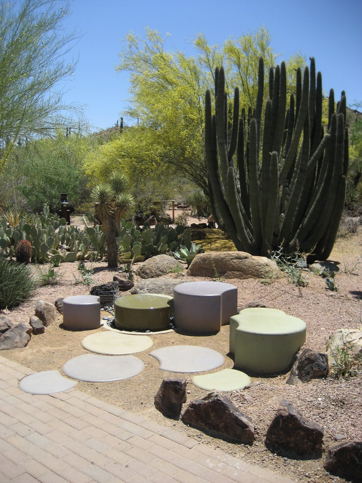 Desert Landscape Ideas For Backyards
 Awesome Desert Landscaping Ideas with Lovely Desert Plants