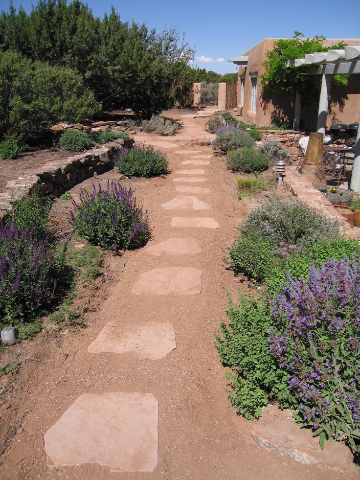 Desert Landscape Ideas For Backyards
 54 best Desert Landscaping Ideas images on Pinterest