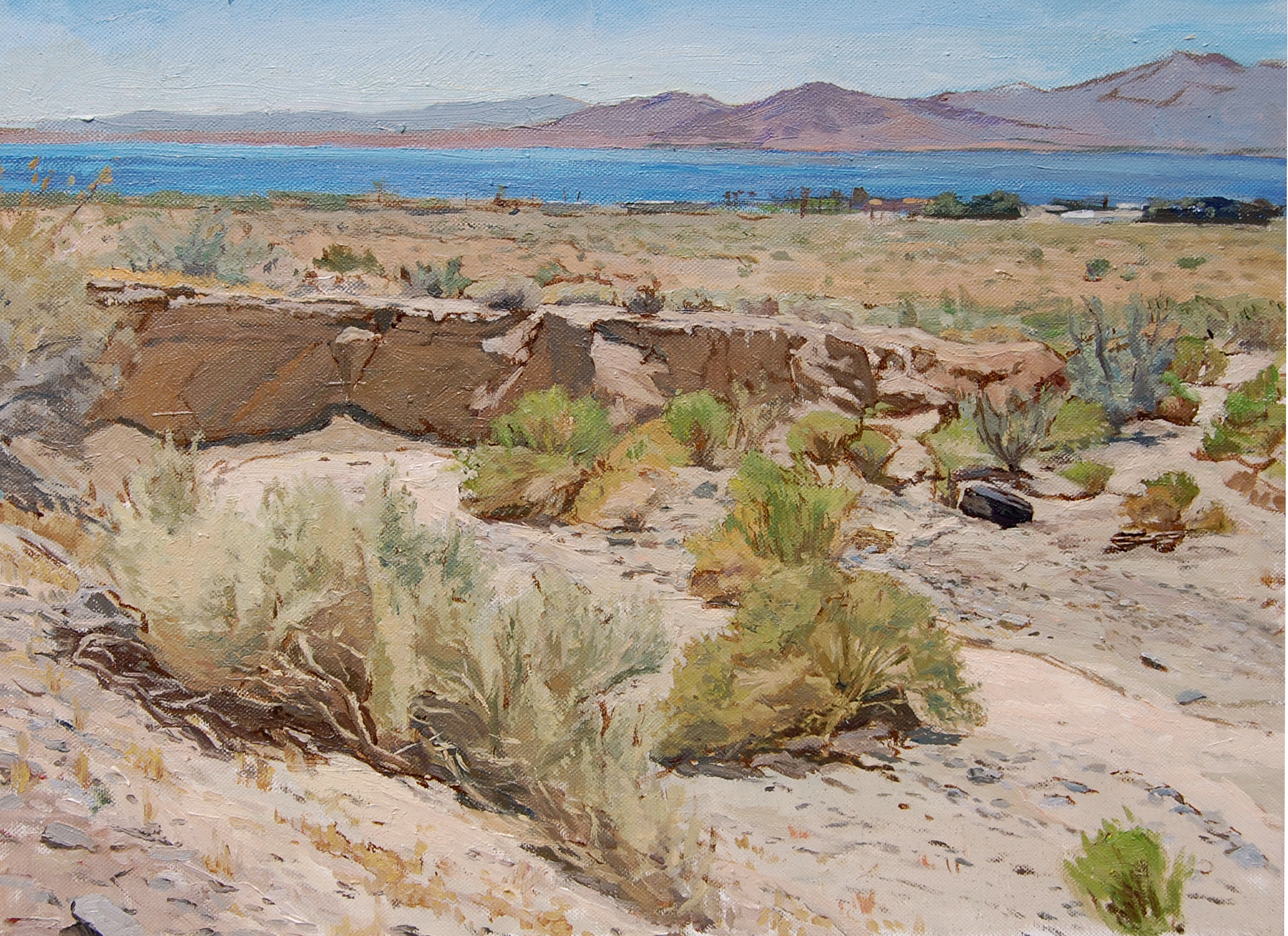 Desert Landscape Paintings
 desert landscape painting – Andrew Dickson