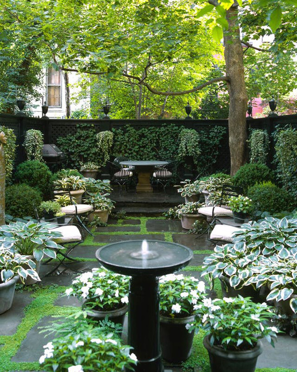 Design My Backyard
 20 Small And Gorgeous Backyard Ideas In The City