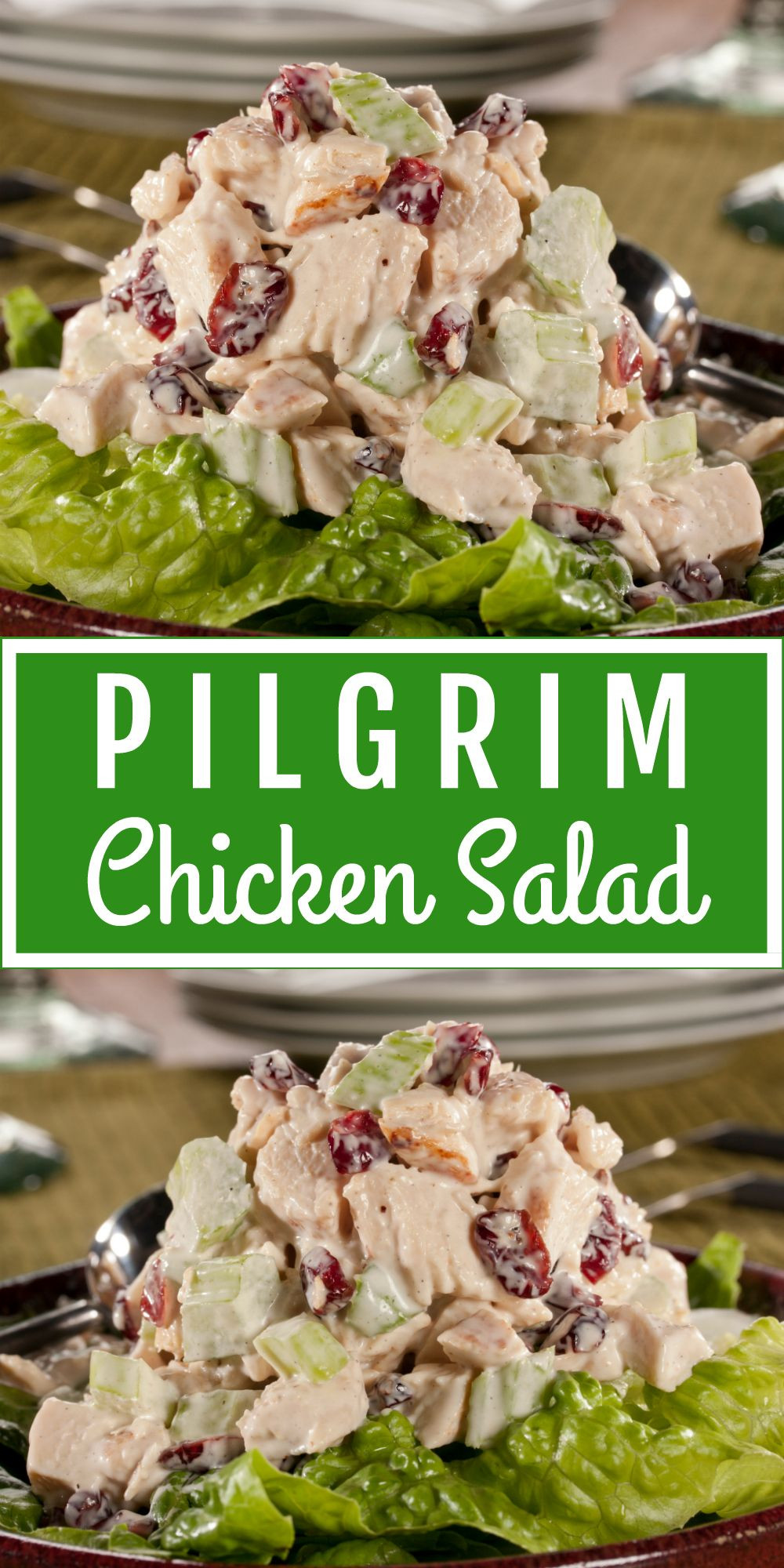 Diabetic Grilled Chicken Recipes
 Pilgrim Chicken Salad Recipe in 2019
