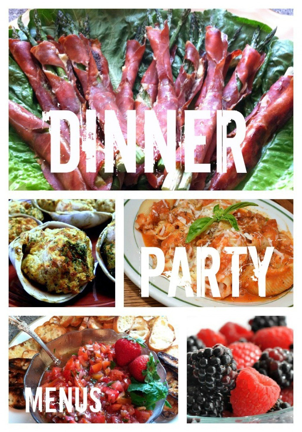 Dinner Ideas For Birthday Party
 Dinner Party Recipes