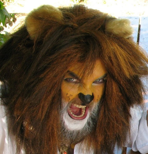 DIY Adult Lion Costume
 Lion Costume Mane and Tail