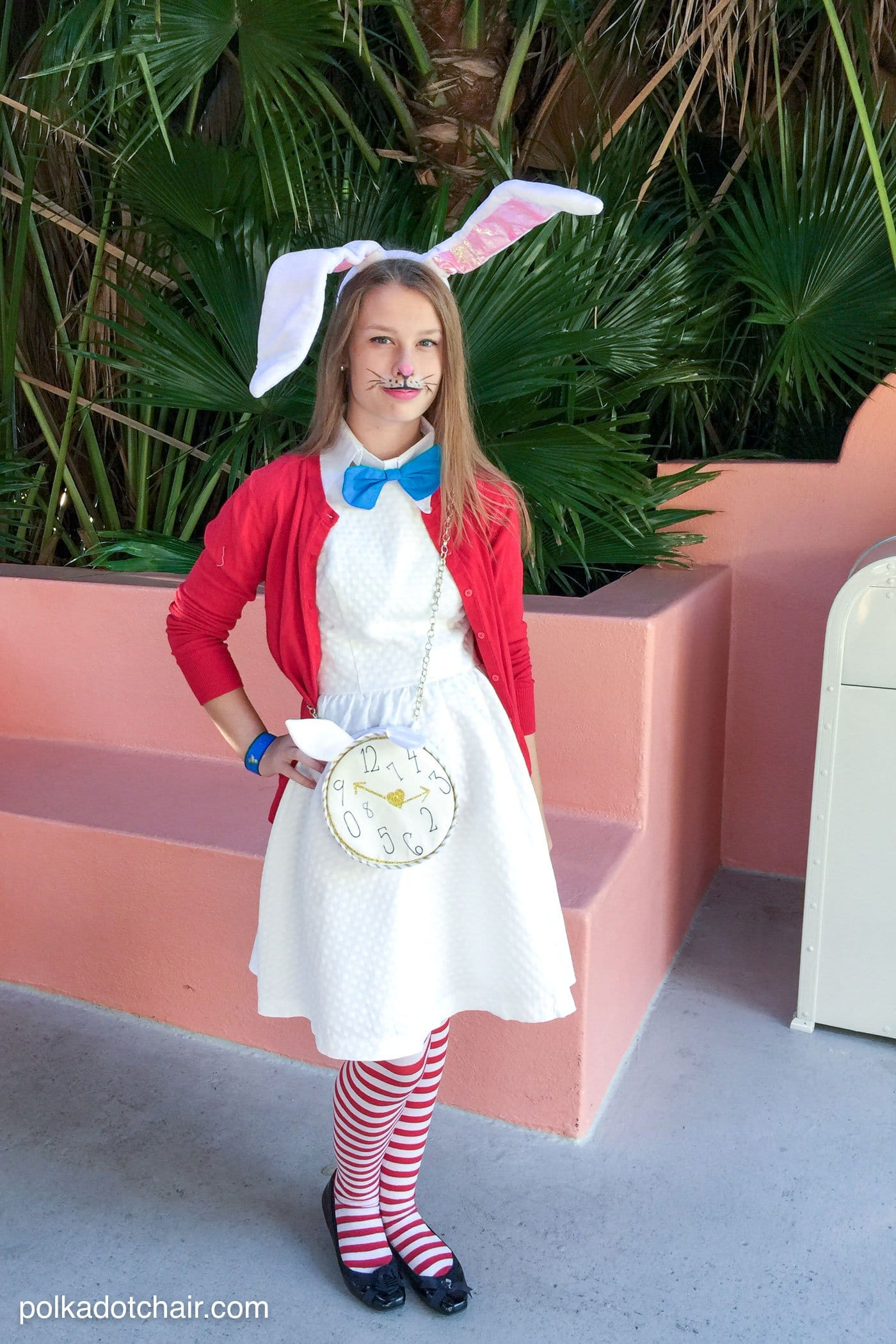 DIY Alice In Wonderland Costume
 No Sew Alice in Wonderland Costume Ideas The Polka Dot Chair