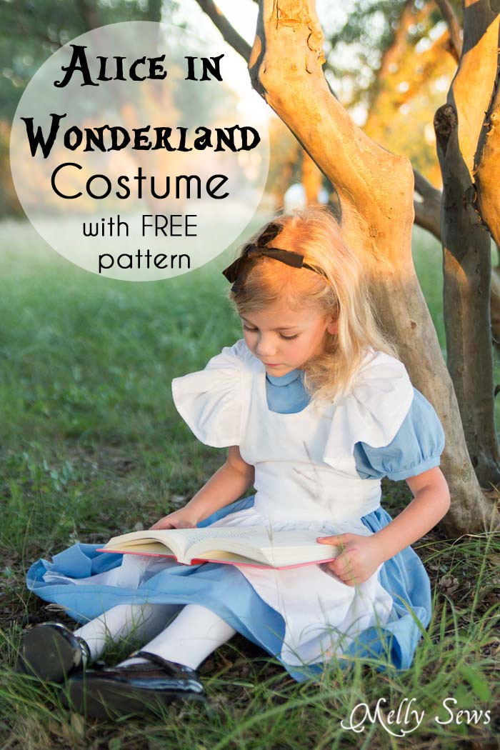 The top 35 Ideas About Diy Alice In Wonderland Costume - Home, Family ...