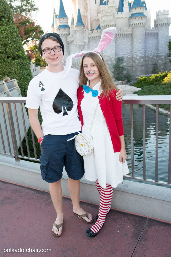 DIY Alice In Wonderland Costume
 No Sew Family Alice in Wonderland Costume Ideas