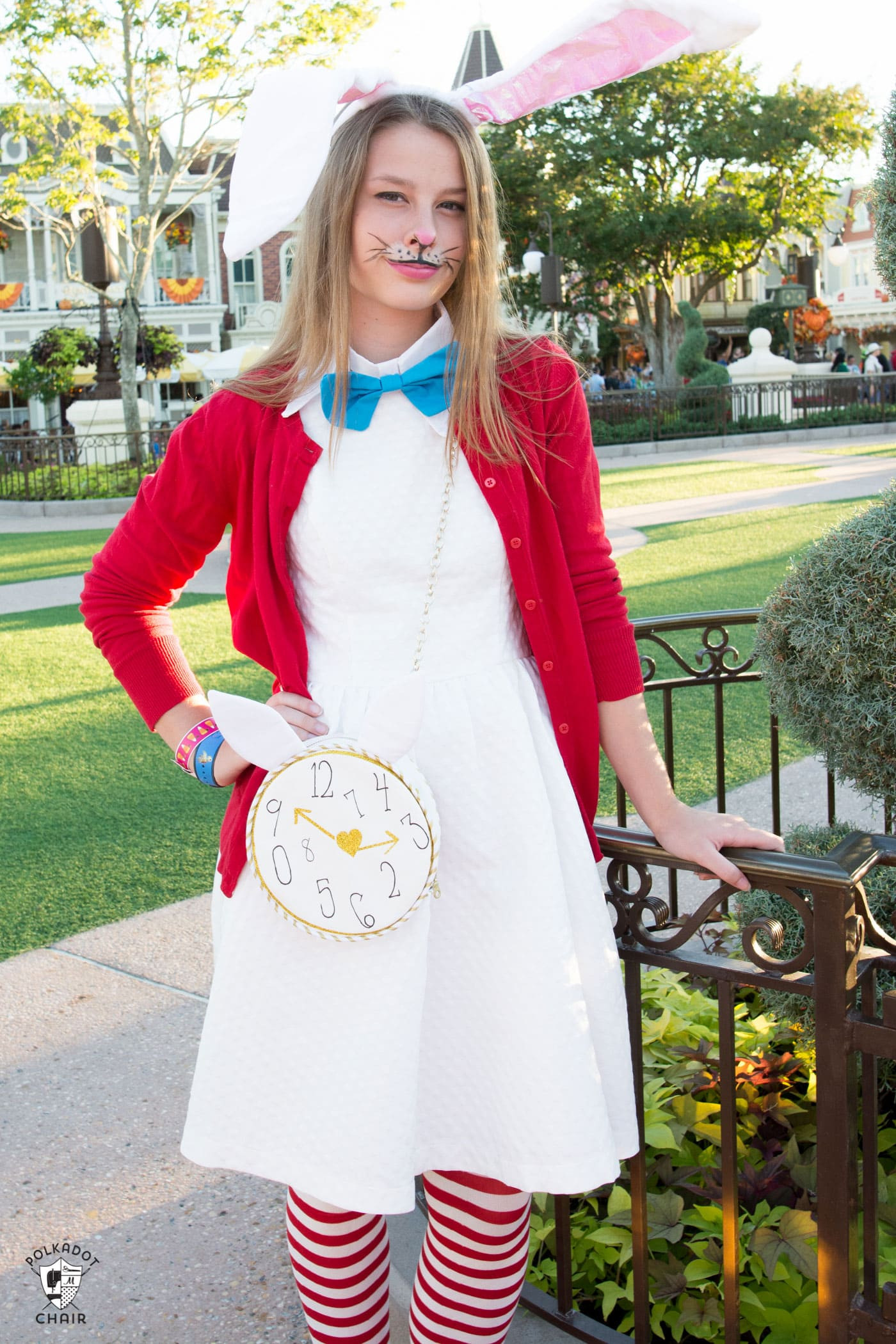 DIY Alice In Wonderland Costume
 New Alice Bag Sewing Pattern The Polka Dot Chair