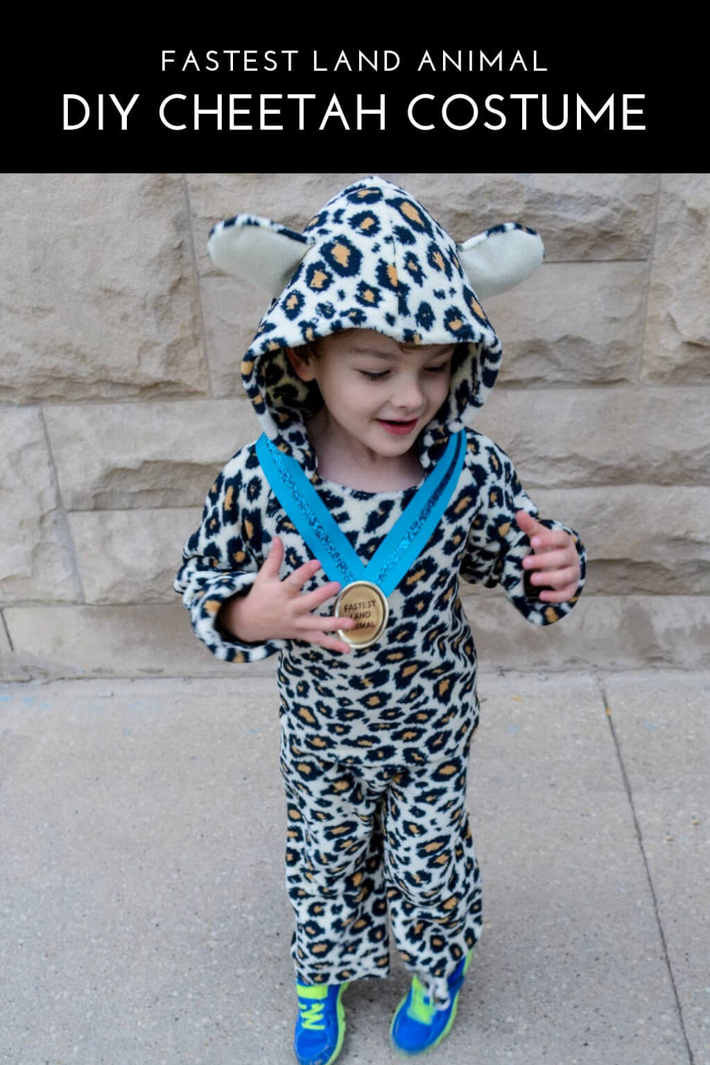 DIY Animal Costumes For Kids
 DIY Kids Cheetah Halloween Costume for Boys Merriment Design