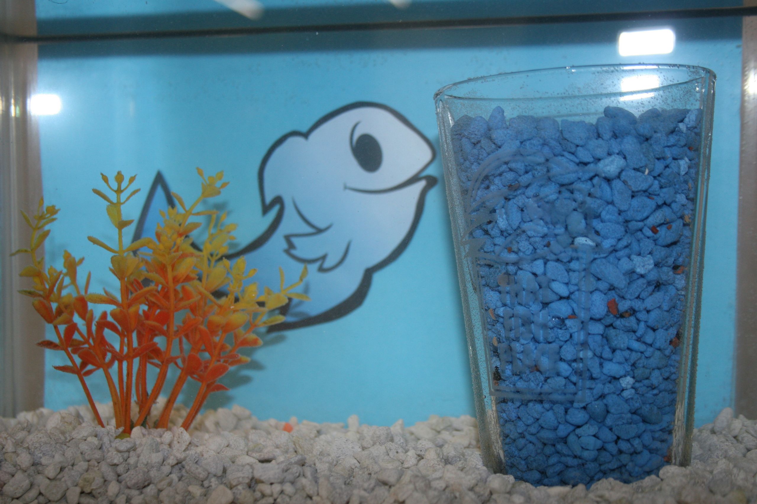 DIY Aquarium Decor Ideas
 Aquarium Decoration Ideas & DIY Fish Bowls