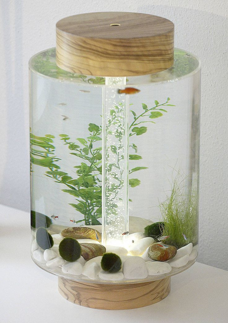 DIY Aquarium Decor Ideas
 Aquarium Decorations Diy 12 Meowlogy